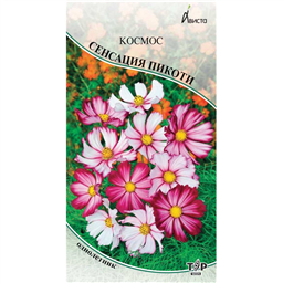 Космос Сенсация Пикоти