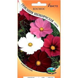 Космос Сенсация низкорослая смесь