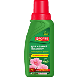  Красота для Азалий