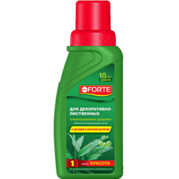 Красота для Декоративно-лиственных