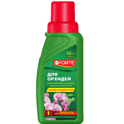 Красота для Орхидей