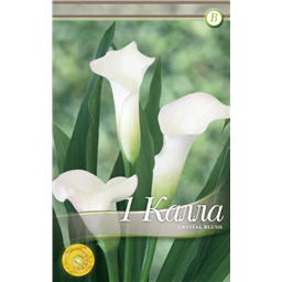 Кристал Блаш