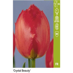 Кристал Бьюти