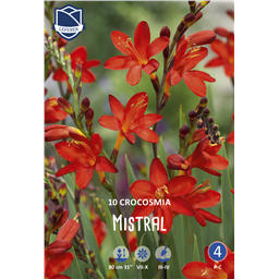 Крокосмия Мистрал
