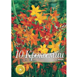 Крокосмия Бигфлоуверинг смесь