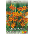Крокосмия Мак Кензи