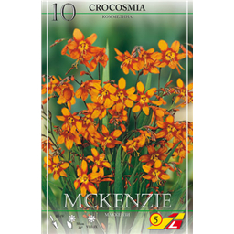 Крокосмия Мак Кензи