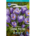 Крокус Гранд Мэтр