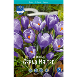 Крокус Гранд Мэтр
