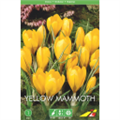 Крокус Йеллоу Мамут (упаковка мини)