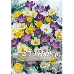 Крокус ботанический смесь