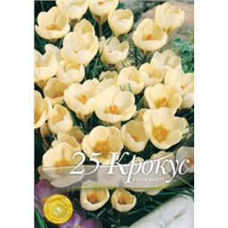 Крокус Крем Бьюти
