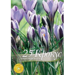 Крокус сибери Спринг Бьюти