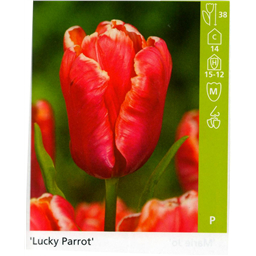 Лаки Пэррот