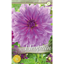 Лавендер Раффлз