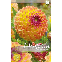 Лейкленд Отем