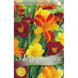 Лилейников Смесь