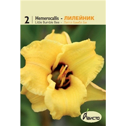 Лилейник Литтл Бамбл Би