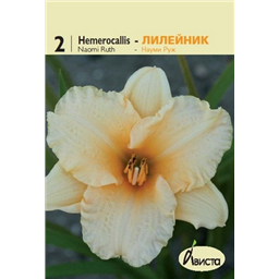 Лилейник Науми Руж