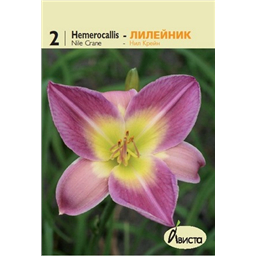 Лилейник Нил Крейн