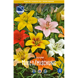 Лилии Смесь Азиатских