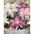 Лилии Смесь Махровых