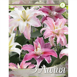Лилии Смесь Махровых
