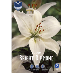 Лилия Брайт Даймонд