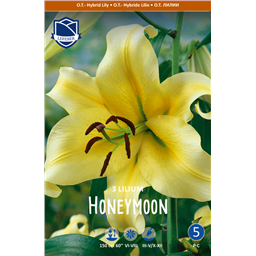 Лилия Хонеймун 