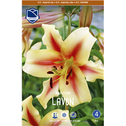 Лилия Лавон 