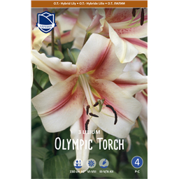 Лилия Олимпик Торч