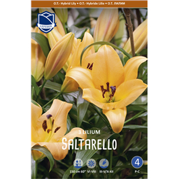 Лилия Салтарелло 