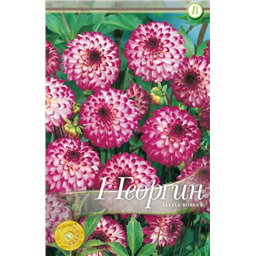 Литл Роберт