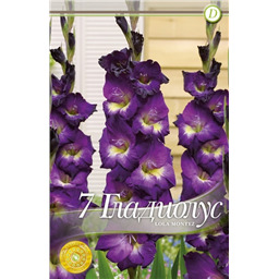 Лола Монтез