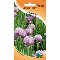 Лук шнитт Медонос