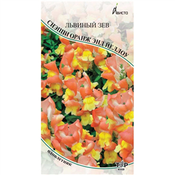 Львиный зев Снэппи Оранж энд Йеллоу