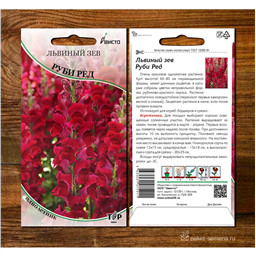 Львиный зев      Руби Ред