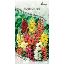 Львиный зев Университет Калифорнии смесь