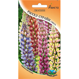 Люпин многолетний Рассел страйн