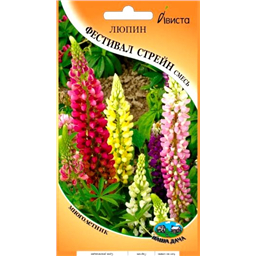 Люпин Фестивал Стрейн