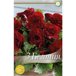 Махровая Дарк Ред