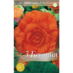 Махровая Оранж