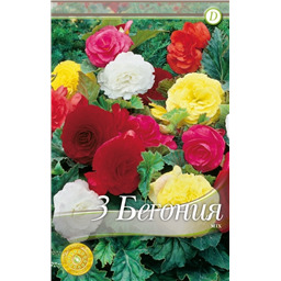 Махровых бегоний смесь