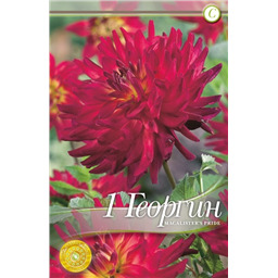 Макалистерс Прайд