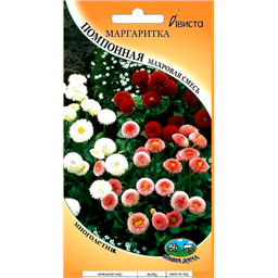 Маргаритка Помпонная махровая смесь