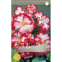 Мармората Уайт-Ред