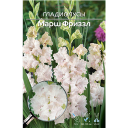 Марш Фриззл