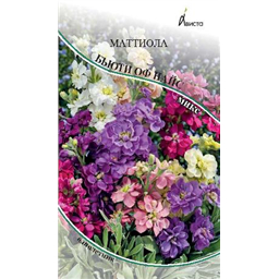 Маттиола Бьюти оф Найс микс