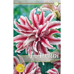 Мэджик Стар