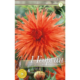 Мелз Оранж Мармелад